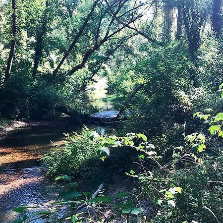 Casa Vieja De La Abuela *