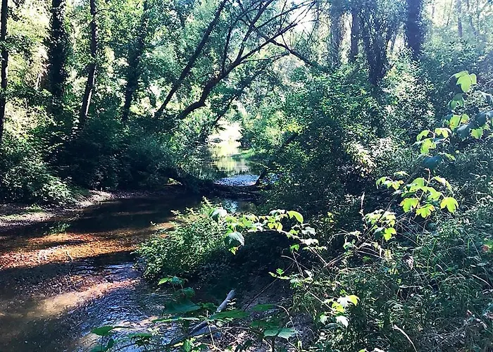 Casa Vieja De La Abuela *